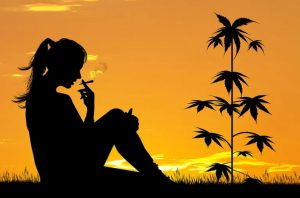 Everything You Need to Know to Get the Perfect Marijuana High