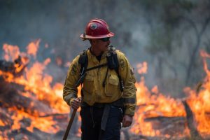 Photos: Scenes from Carmel Valley’s Piney Fire